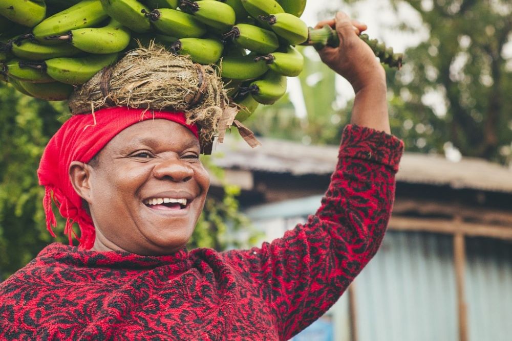 Afrikanische Frau transportiert eine Bananenstaude auf ihrem Kopf trsn